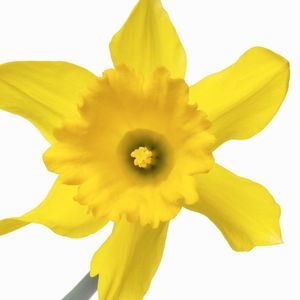 Meet your Posher, Marilyn